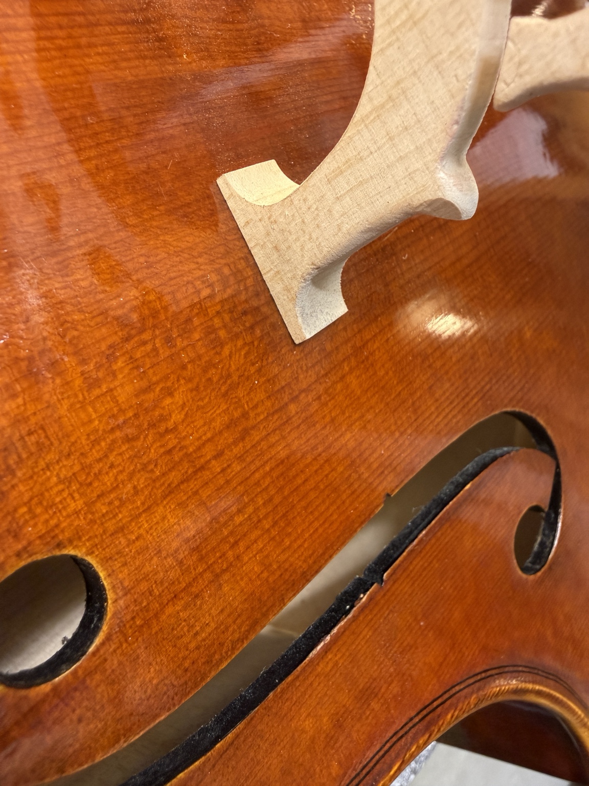 Fitting a Cello Bridge โ From Blank to Finished Bridge โ image 4