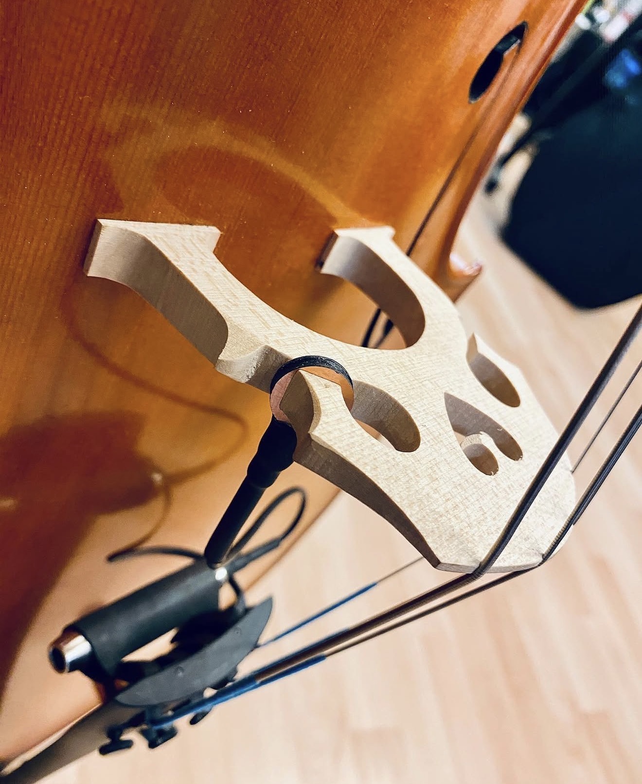 Amplify Your Cello Live with Planet Wing Cello Pickup – image 2